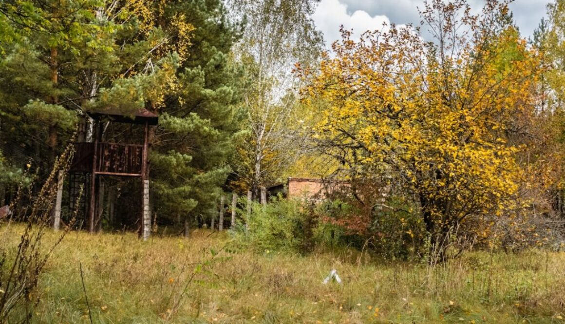 Photo Sposoby minimalizacji ryzyka związanego z pracą w warunkach narażenia na promieniowanie elektromagnetyczne