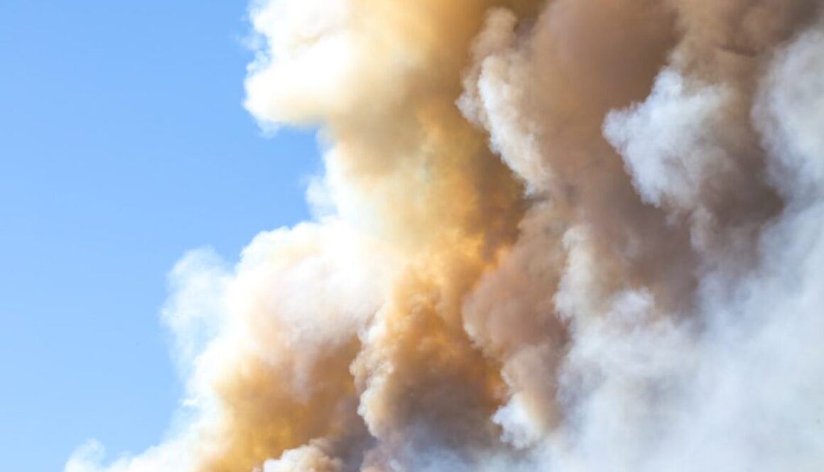 Photo Jak zorganizować i przeprowadzić symulację ewakuacyjną w miejscu pracy?