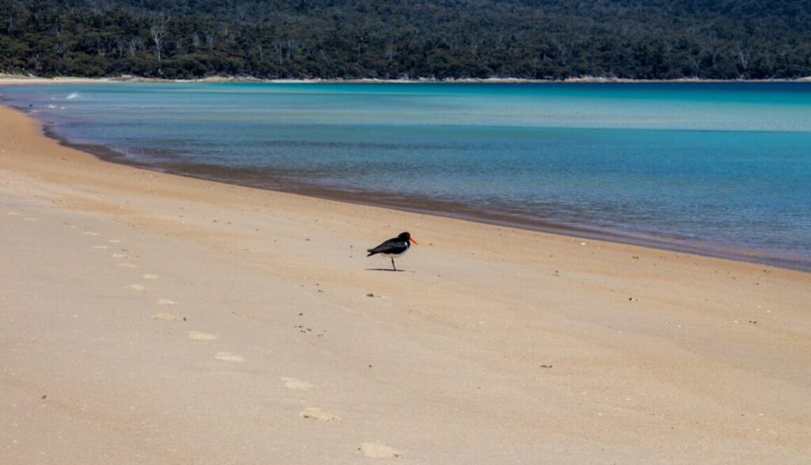 Photo Jakie są najczęstsze zagrożenia dla pracowników pracujących na otwartym terenie?